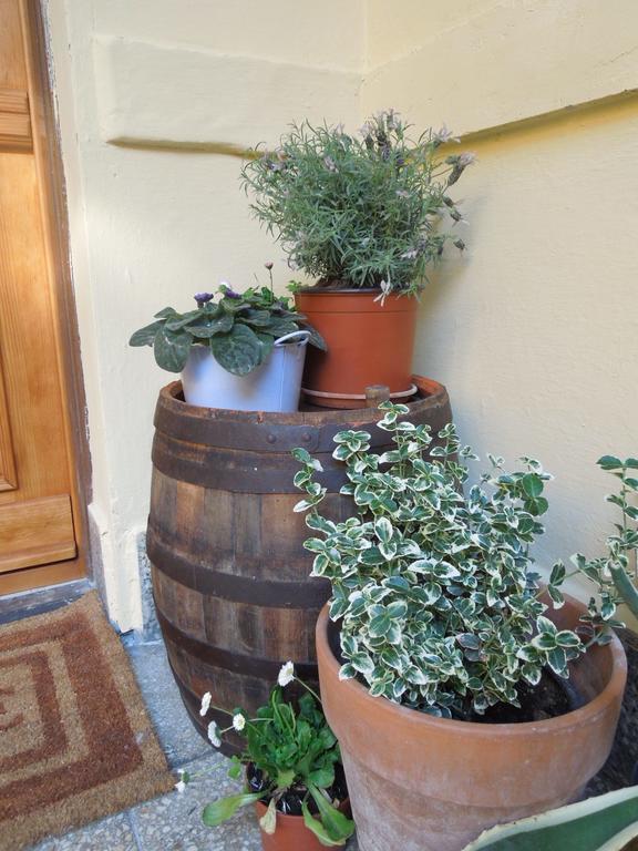 Rustic Elegance Apartamento Budapest Exterior foto